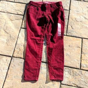 Eddie Bauer slightly curvy skinny cord pants 8